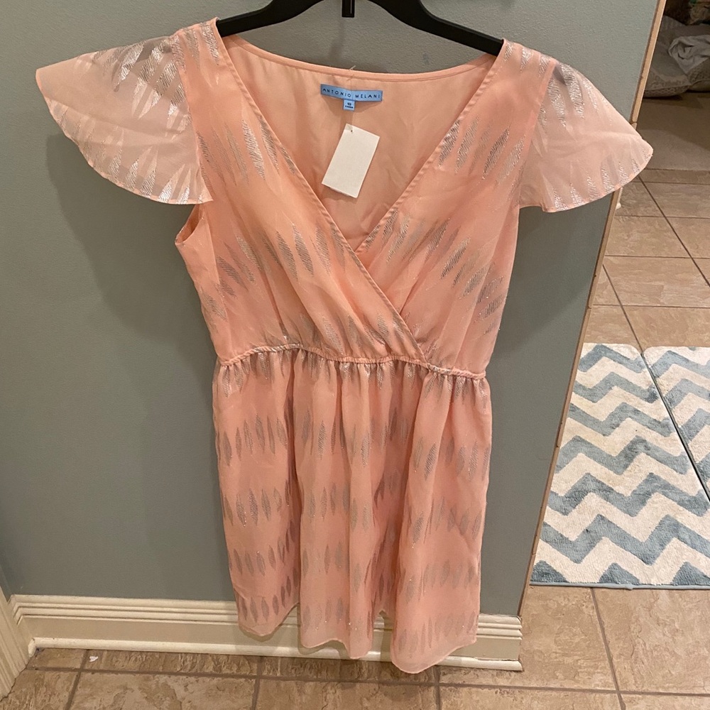 NWT Antonio Melani dress Size 10